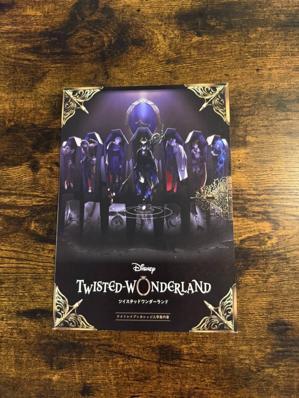 Disney Twisted Wonderland Night Ravens College Admission guide Comic Anthology